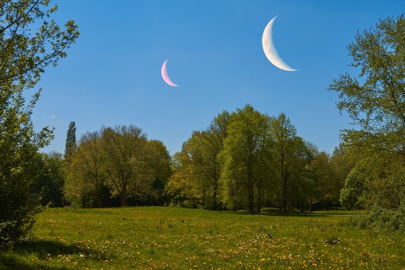 Czy Ziemia mogłaby mieć dwa księżyce? Mogłaby nawet siedem i więcej, wynika z symulacji /123RF/PICSEL /123RF/PICSEL