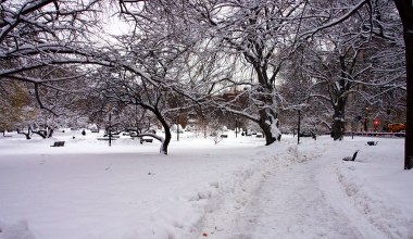 ​Czy zima będzie mroźna i śnieżna? Meteorolodzy mówią jasno