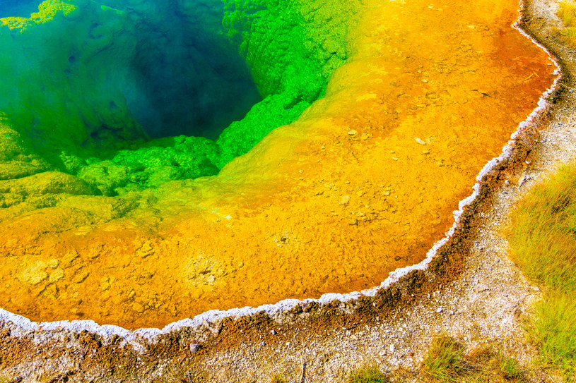 Czy złożone organizmy żywe powstały w miejscu takim, jak ten basen geotermalny w Yellowstone? /123RF/PICSEL