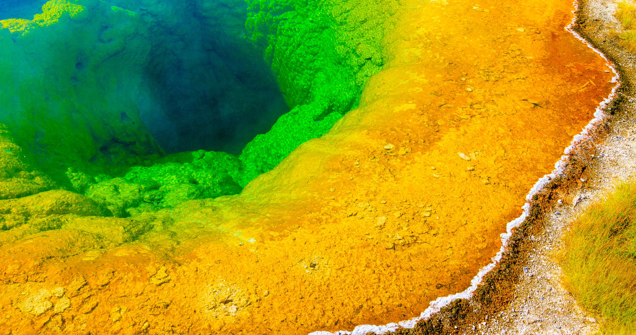 Czy złożone organizmy żywe powstały w miejscu takim, jak ten basen geotermalny w Yellowstone? /123RF/PICSEL