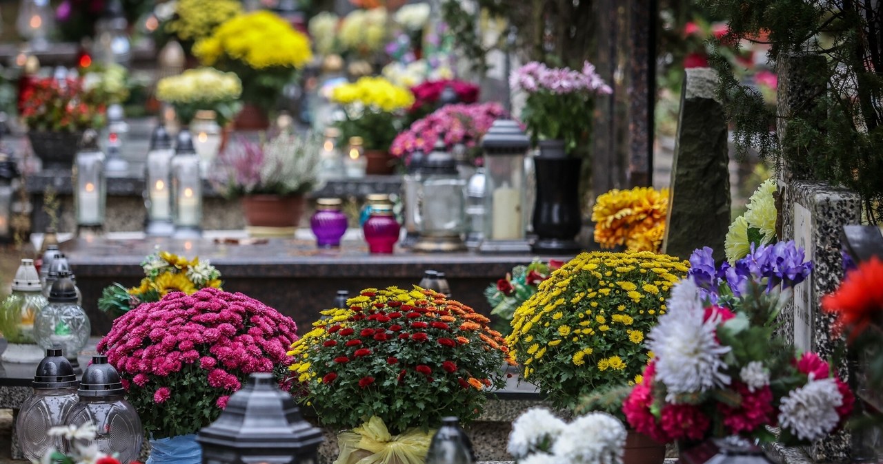 Czy znasz symbolikę kwiatów przynoszonych na cmentarz? /East News
