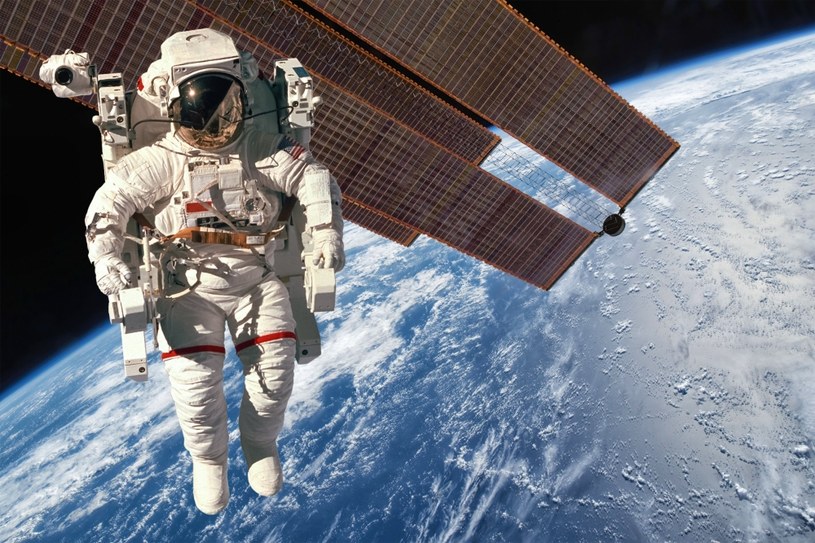 Czy życie w kosmosie jest możliwe? /cookelma /123RF/PICSEL