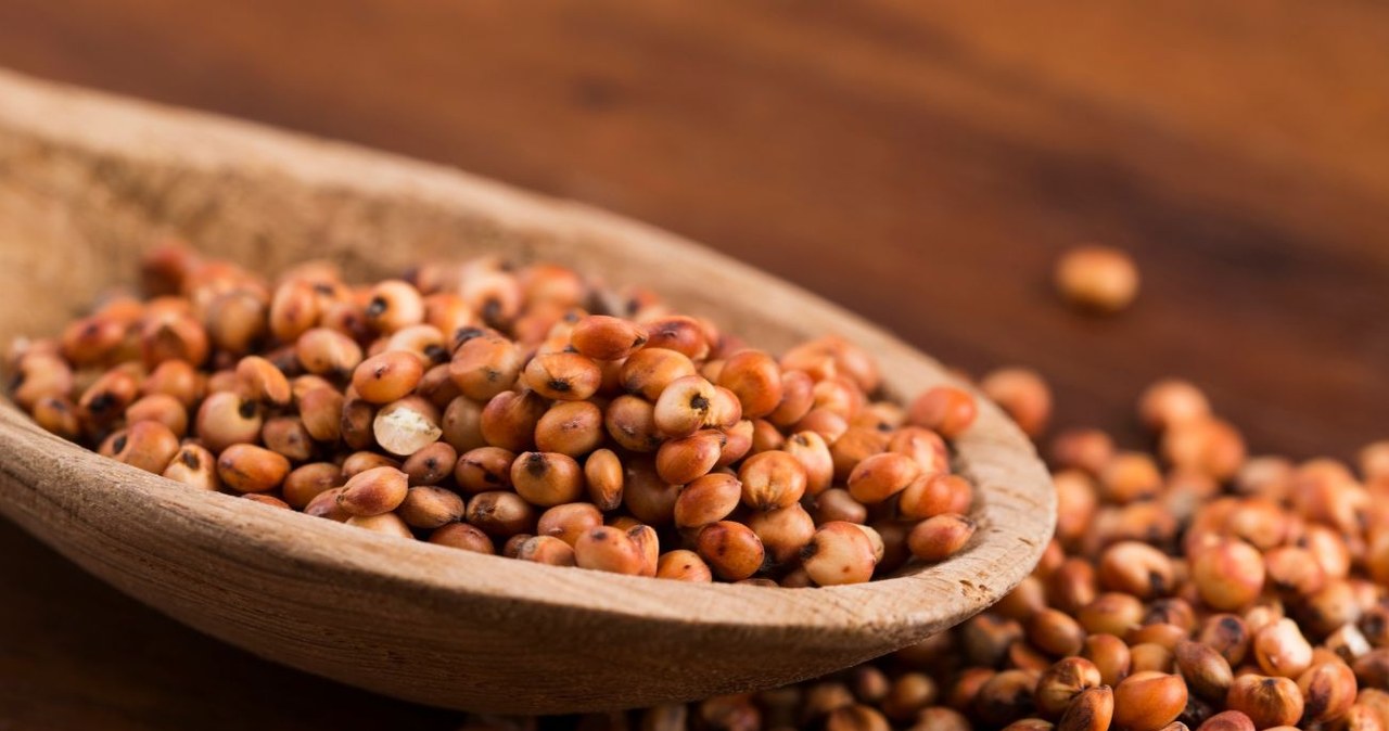 Czym charakteryzuje się sorgo? Kto powinien je spożywać? /joannawnuk /Canva Pro