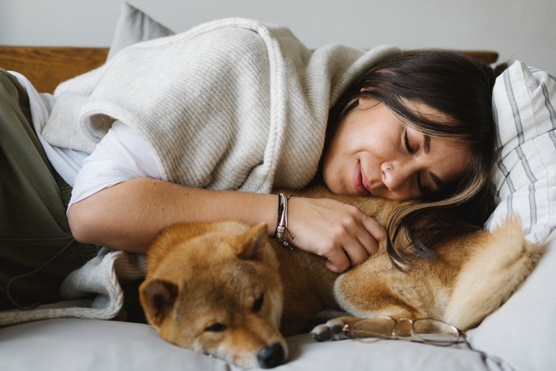 Czym grozi spanie z psem? /Pexels.com