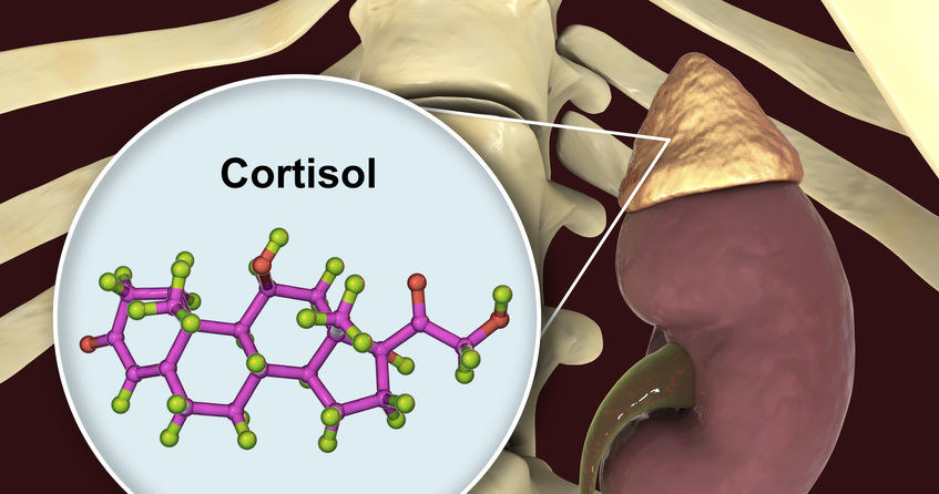 Czym jest kortyzol i jakie pełni funkcje? /&copy;123RF/PICSEL