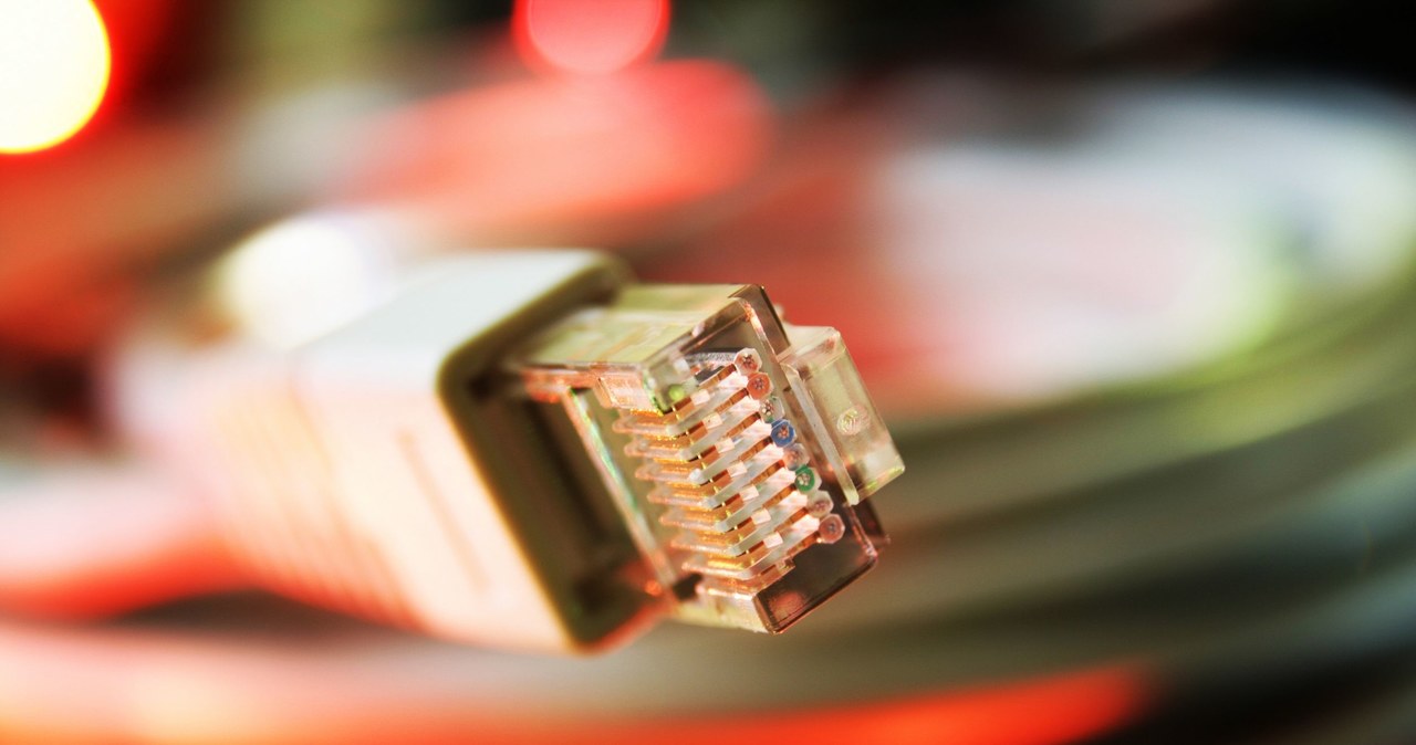 Czym jest sieć Ethernet? Czy warto ją wybrać? /123RF/PICSEL