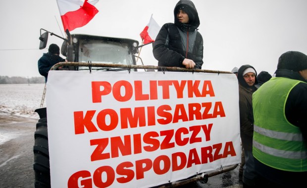 Czym jest Zielony Ład? To m.in. przeciw niemu protestują rolnicy 
