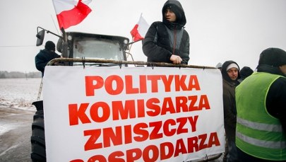 Czym jest Zielony Ład? To m.in. przeciw niemu protestują rolnicy 