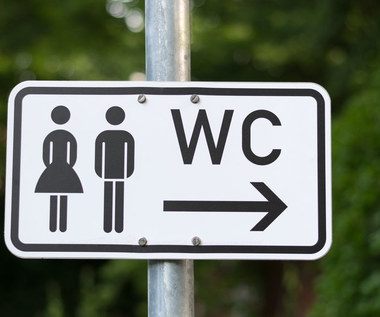 Czym można się zarazić w publicznej toalecie?