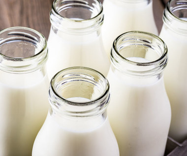 Czym różni się mleko pasteryzowane od uht? 