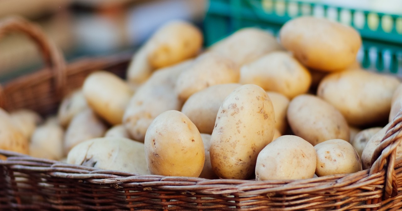 Czym różnią się młode ziemniaki od wczesnych? /123RF/PICSEL