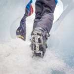 Czym się różnią raki od raczków? TPN wyjaśnia