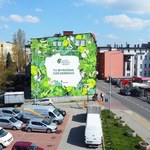 Czyste, Zielone Miasta w Rybniku. Sprzątanie rzeki, sadzenie drzew i antysmogowy mural