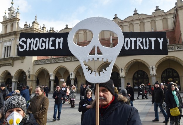 Czysty Protest w Krakowie w 2017 roku /Jacek Bednarczyk /PAP