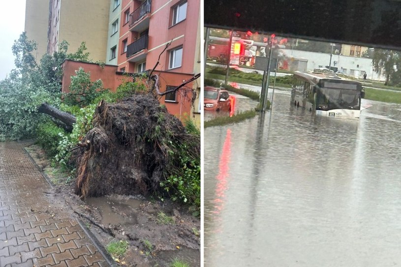 Dąbrowa Górnicza pod wodą. Zalane ulice, powalone drzewa