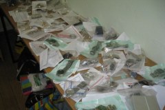 Dąbrowa Górnicza: Szukają ofiar złodzieja