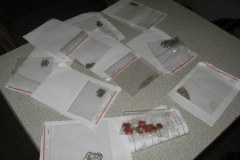 Dąbrowa Górnicza: Szukają ofiar złodzieja