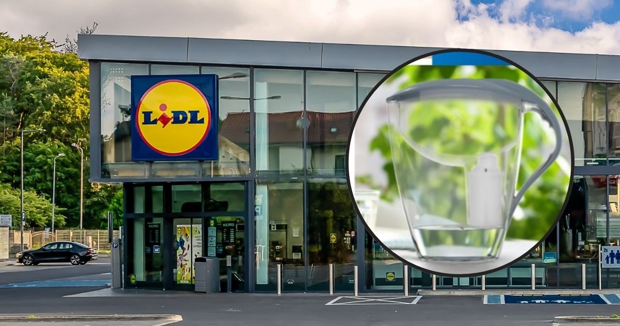 Dafi podbija Lidla! Najlepsze ceny na filtry i akcesoria /adobestock/Lidl /INTERIA.PL