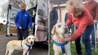Daisy po 7 latach od kradzieży wróciła do domu. "Trzymaliśmy jej zdjęcie na kominku"