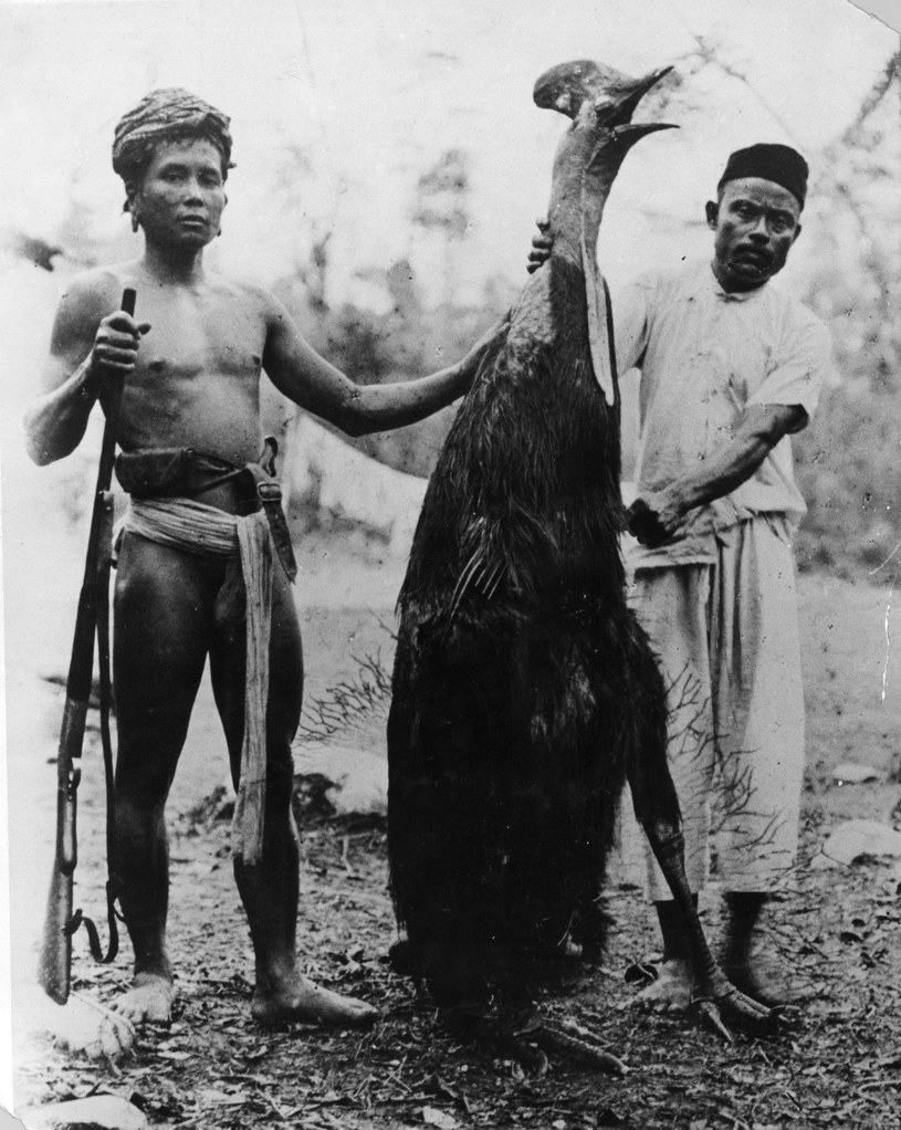 Dajakowie - łowcy głów z Borneo /Getty Images/Flash Press Media