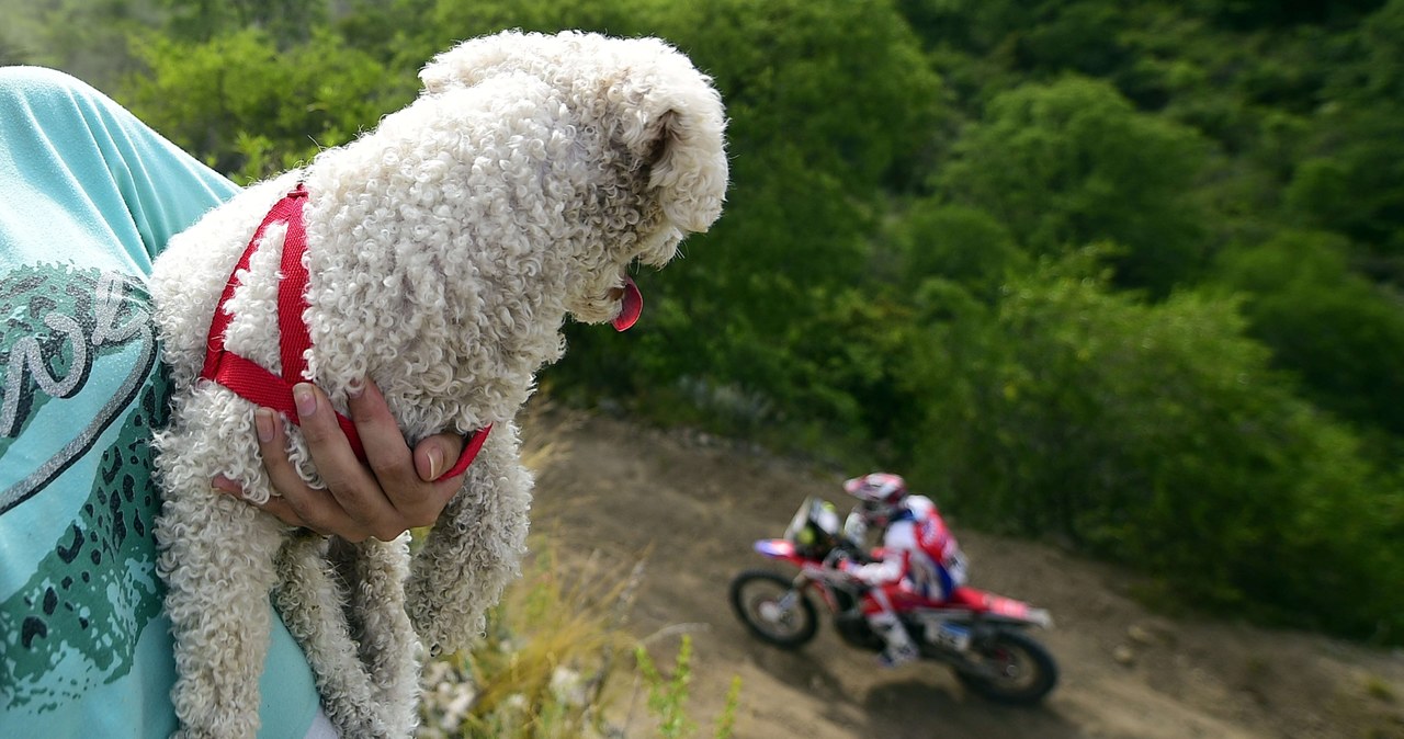 Dakar 2016. Etap 12 /AFP