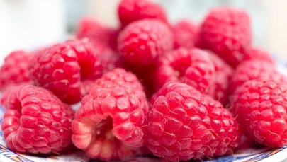 "Dalej nic nie wiemy". Plantatorzy malin rozczarowani po konferencji wiceministra rolnictwa 