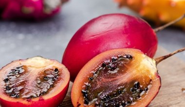 Daleki kuzyn pomidora, w Polsce jeszcze mało znany. Kup bez wahania, bo to skarbnica smaku i witamin 