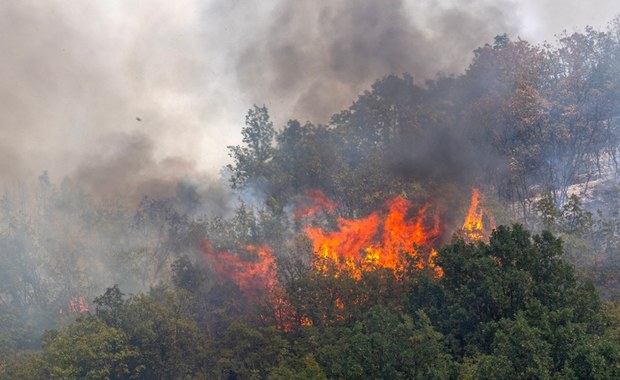 Dalmacja płonie. Możliwe ewakuacje