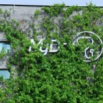 Dane 19 milionów pacjentów zagrożone. MyDr rozsyła ostrzegające SMS-y