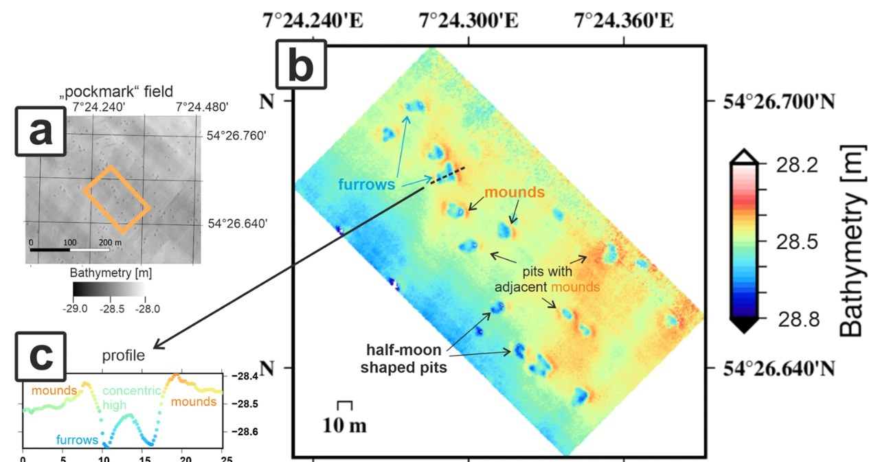 Dane mapowania dna morskiego pokazują ślady żerowania morświnów /Schneider von Deimling et al., 2023. Millions of seafloor pits, not pockmarks, induced by vertebrates in the North Sea. Communications Earth & Environment volume 4, Article number: 478/ Open Access /materiały prasowe