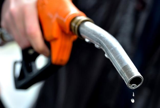 Dane o zużyciu paliwa to bzdury /AFP