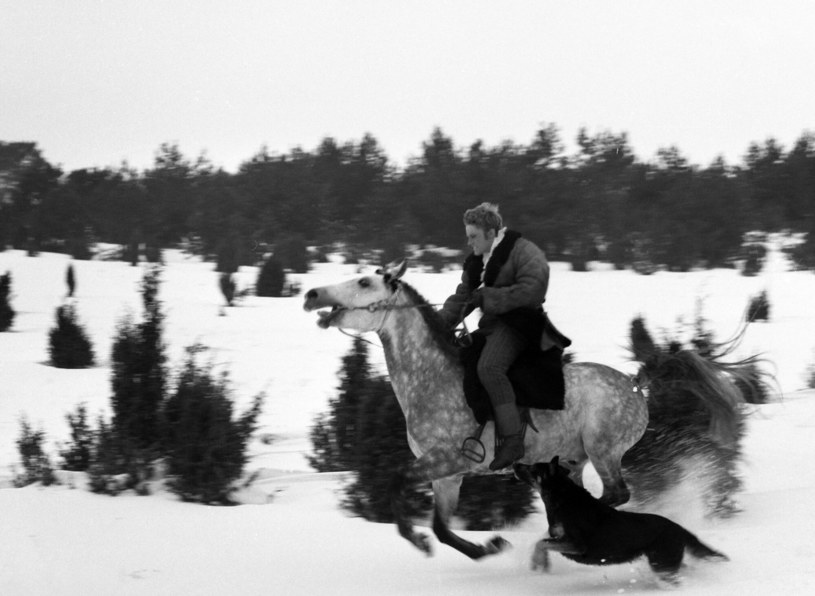 Daniel Olbrychski na białym koniu w "Popiołach" Wajdy /INPLUS /East News
