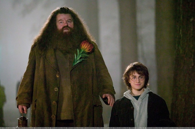 Daniel Radcliffe i Robbie Coltrane na planie filmu "Harry Potter i czara ognia" / Capital Pictures /Agencja FORUM