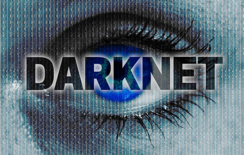 Darknet to sieć – narzędzie – które umożliwia wejście do specjalnie ukrytej części internetu, czyli dark webu. Chętnie korzystają z niej przestępcy. To właśnie tam trafiły loginy i hasła wielu polskich rolników. /123RF/PICSEL
