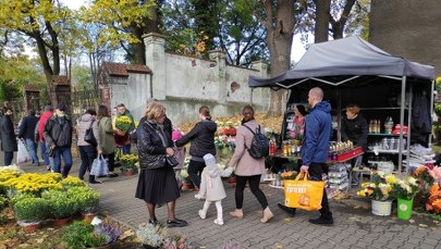 Darmowa komunikacja na 1 listopada. Śląskie miasta wychodzą z ofertą