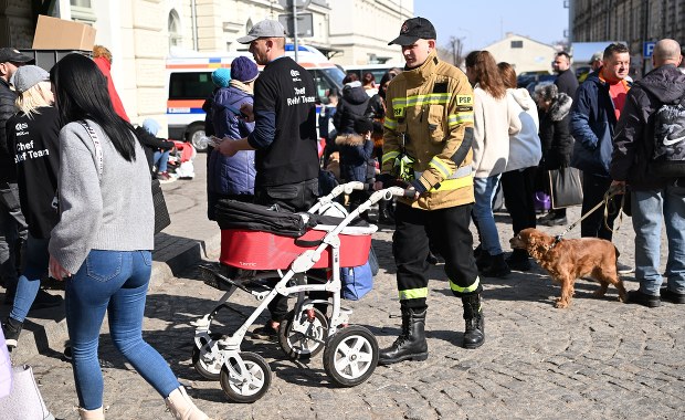 Darmowe szczepienia i czipowanie zwierząt z Ukrainy