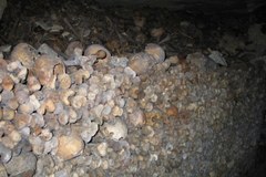 Darmowy nocleg wśród milionów czaszek w paryskich katakumbach