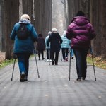 Darmowy Nordic Walking dla seniorów. Tu skorzystasz z bezpłatnych zajęć