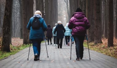 Darmowy Nordic Walking dla seniorów. Tu skorzystasz z bezpłatnych zajęć