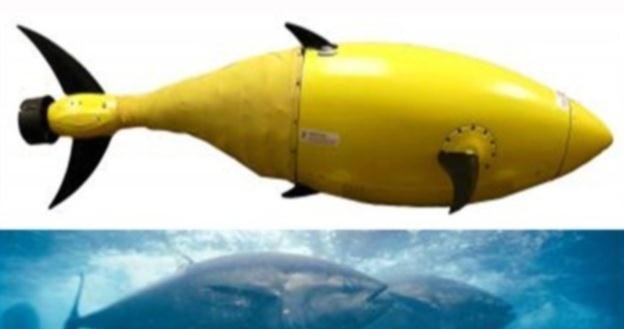 DARPA nadzoruje budowę robo-tuńczyka /materiały prasowe