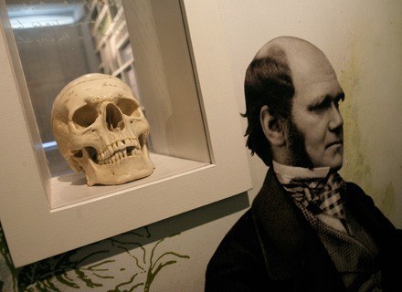 Darwin i jego czaszka /AFP