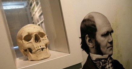 Darwin i jego czaszka /AFP
