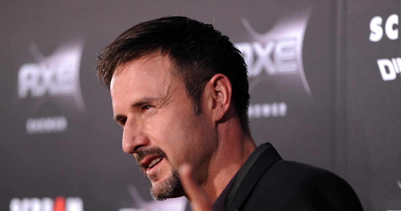 David Arquette na premierze filmu "Krzyk 4" w 2011 roku /Frazer Harrison / Staff /Getty Images