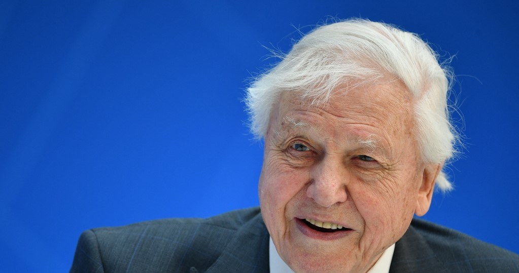 David Attenborough nie daje nadziei dla naszej Ziemi, jeśli nie zaczniemy współpracować razem /AFP