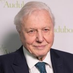 David Attenborough ostrzega w dniu 99. urodzin: Czas prawie dobiegł końca