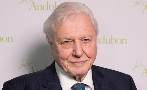David Attenborough ostrzega w dniu 99. urodzin: Czas prawie dobiegł końca