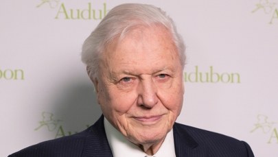 David Attenborough ostrzega w dniu 99. urodzin: Czas prawie dobiegł końca