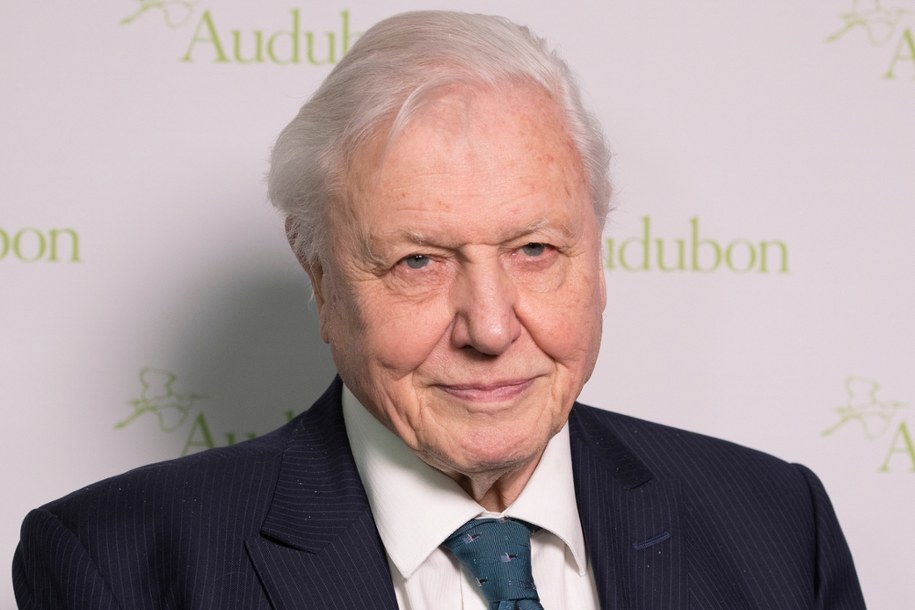 David Attenborough /Shutterstock