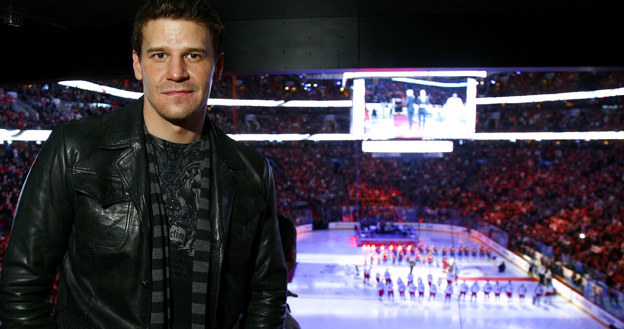 David Boreanaz (Seeley Booth z serialu „Kości”) /Phillip MacCallum /Getty Images