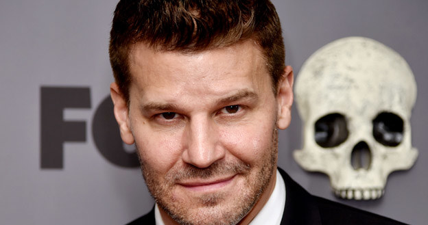 David Boreanaz /Kevin Winter /Getty Images